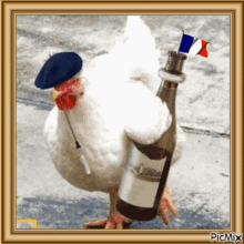 French Coq GIF