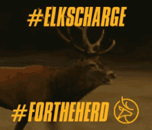 Elks Edmonton GIF - Elks Edmonton Cfl GIFs