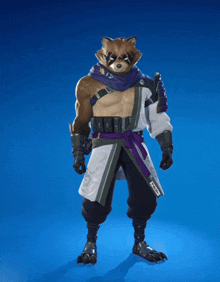 a raccoon with a purple sash around his neck stands on a blue surface