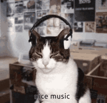 Music Cool GIF - Music Cool Katze GIFs