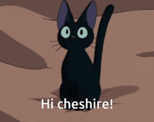 Cheshire Hi Cheshire GIF - Cheshire Hi Hi Cheshire GIFs