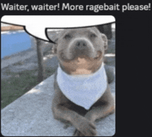 a picture of a dog with a speech bubble saying waiter waiter