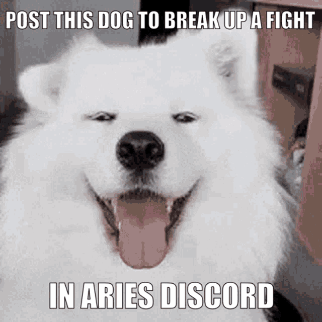 Aries Discord Aries GIF - Aries Discord Aries Aries Singer - Discover & Share GIFs Aries Discord Aries GIF - Aries Discord Aries Aries Singer - Discover & Share GIFs