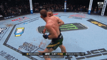 muhammad and della maddalena are fighting in ufc