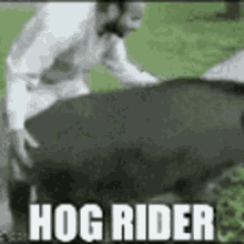 Hog Rider GIF - Hog Rider GIFs