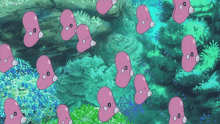 a bunch of pink fish are swimming in the ocean