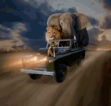 the great escape car driving animals