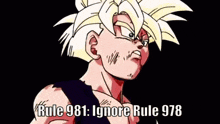 Rule981 Rule 981 GIF