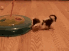 You'Re Almost There GIF - Kitten Baby Toy GIFs
