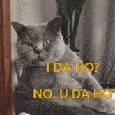 Idaho Cat GIF - Idaho Cat GIFs