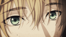 a close up of a person 's eyes with green eyes