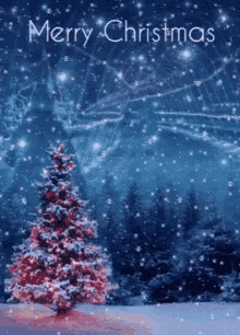 merry christmas christmas tree snow snowflakes