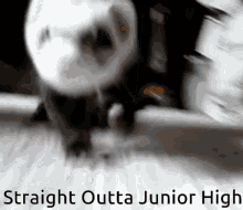 Ferret Running GIF - Ferret Running Straight Outta Junior High GIFs