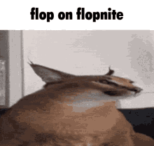 Fortnite Floppa Get On Fortnite GIF - Fortnite Floppa Get On Fortnite Hop On Fortnite GIFs