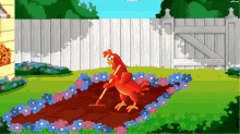 Red Hen GIF - Red Hen GIFs