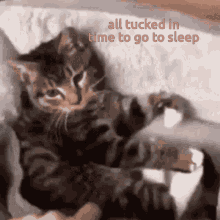 Go To Sleep Tuck You In GIF - Go To Sleep Tuck You In All Tucked It GIFs