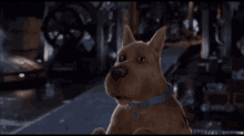 Scooby Doo Scared GIF - Scooby Doo Scared Screaming GIFs