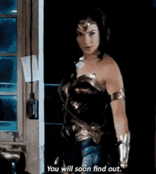 Wonder Woman 5n1x GIF - Wonder Woman 5n1x Gal Gadot GIFs