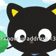Address Chococat GIF