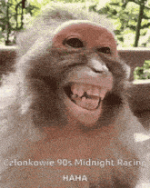 a close up of a monkey 's face with the words cztonkowie 90s midnight racing haha on the bottom
