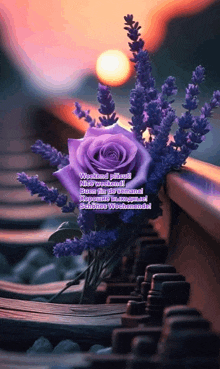 a purple rose sits on a railroad track with a greeting in another language