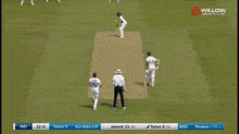 a cricket match is being played on a willow sports live channel
