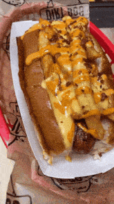 Bacon Wrapped Cheese Fries Hot Dog Hot Dogs GIF - Bacon Wrapped Cheese Fries Hot Dog Hot Dogs Food GIFs