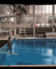 Swimsuit Dive GIF - Swimsuit Dive GIFs
