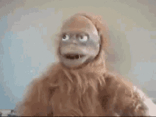 Yeti Monkey GIF - Yeti Monkey Dumb GIFs