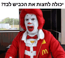 a man dressed as mcdonald 's clown with a red wig