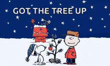 a cartoon of snoopy and charlie brown standing next to a christmas tree with the words got the tree up above them