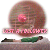 Lost A Follower Stressed Sticker - Lost A Follower Stressed Sad Stickers
