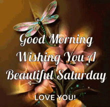 Good Morning Happy Saturday GIF - Good Morning Happy Saturday Beautiful Saturday GIFs