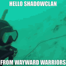 Wayward Wayward Warriors GIF - Wayward Wayward Warriors Shadowclan GIFs