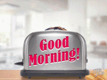 Good Morning Toaster GIF