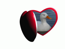 Duck Idk Stuff GIF - Duck Idk Stuff Heart GIFs