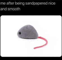 a stuffed mouse with a red tail is on a white background with a caption that says me after being sandpapered nice and smooth