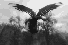 angel devil wings black and white