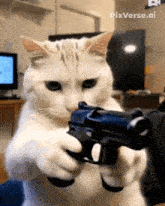 a white cat holding a gun with pixverse.ai written on the bottom right
