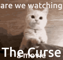 Are We Watching The Curse GIF - Are We Watching The Curse Are We GIFs