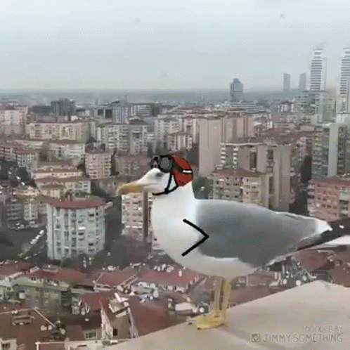 a seagull wearing a helmet and goggles is standing on top of a building in front of a city .