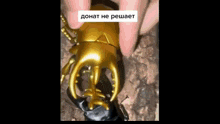 a close up of a person holding a toy beetle on a tree trunk .