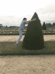 Hang In There Jumping GIF - Hang In There Jumping Joy GIFs