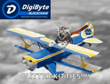 Sky Plane GIF - Sky Plane Doge GIFs