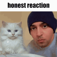 Honest Reaction My GIF - Honest Reaction My Cat GIFs