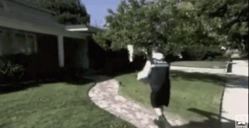 Delivery GIF - Delivery Kick Newspaper GIFs