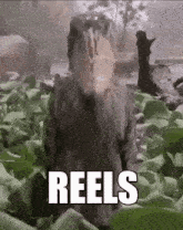 Reels Reels Meme GIF - Reels Reels Meme Me When Reels GIFs