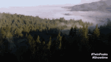 Foggy Flyover GIF - David Lynch Twin Peaks The Return Pacific Northwest GIFs