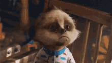 Baby Meerkat Sad GIF - Baby Meerkat Sad Puppy Eyes GIFs
