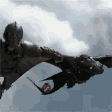 Hiccup And GIF - Hiccup And Toothless GIFs